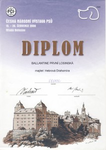 DIPLOM